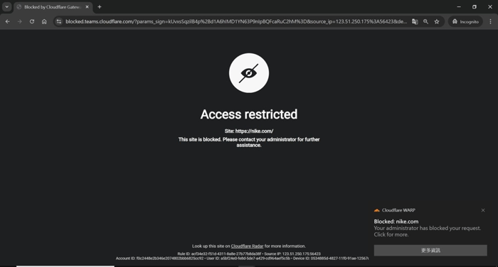 圖片5配置Cloudflare SWG-4